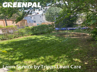 Lawn Cut nearby Richmond, VA, 