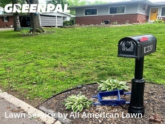Grass Cutting nearby St. Louis, MO, 