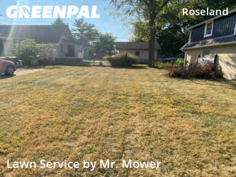 Lawn Cut nearby Springfield, OH, 