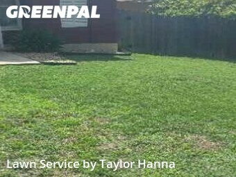 Grass Cut nearby San Antonio, TX, 