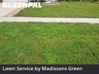 Lawn Maintenance nearby Royal Palm Beach, FL, 