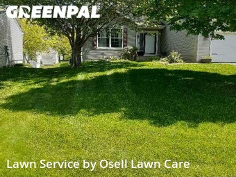 Grass Cutting nearby Maple Grove, MN, 