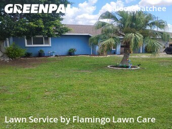Yard Cutting nearby Cape Coral, FL, 