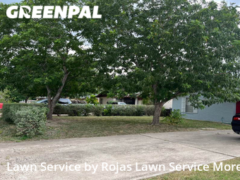 Lawn Cutting nearby Edinburg, TX, 