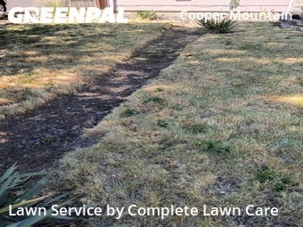 Lawn mowed in Beaverton, 97006