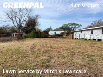 Lawn Care Service nearby New Orleans, LA, 