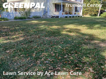 Yard Mowing in Trumbull, 6611, Yard Grooming by Ace Lawn Care, work completed in Nov , 2025