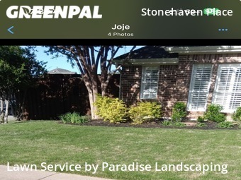 Yard Cutting nearby Plano, TX, 