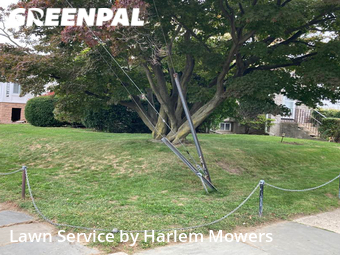 Landscaping In Yonkers,10704,Landscaping Maintenance by Harlem Mowers, work completed in Oct , 2025