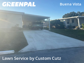 Yard Upkeep in Holiday, 34690, Turf Services by Custom Cutz, work completed in Nov , 2025