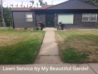 Grass Cut nearby Golden, CO, 