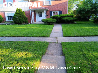 Lawn Service nearby Munster, IL, 
