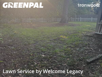 Grass Cutting nearby Gainesville, FL, 