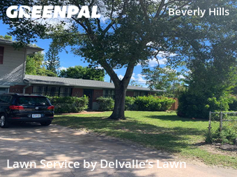 Yard Cutting nearby Daytona Beach, FL, 