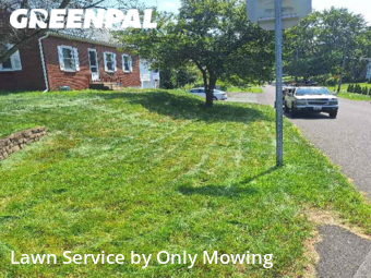 Grass Cutting nearby Delmar, NY, 