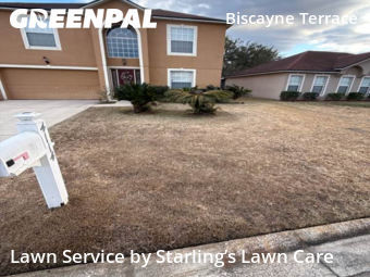 Lawn Care nearby Jacksonville, FL, 
