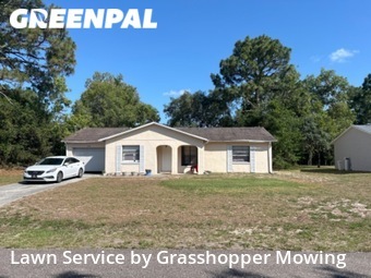 Grass Cutting nearby Spring Hill, FL, 