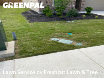 Lawn Cut nearby New Braunfels, TX, 