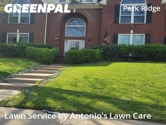 Lawn Mowing Service nearby Plano, TX, 