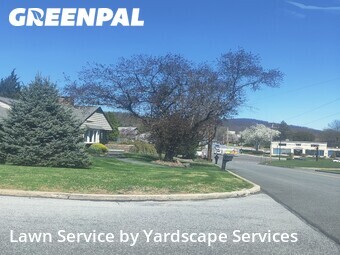 Lawn mowed in Reading, 19606