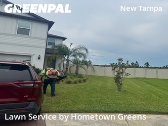 Yard Cuttingin Tampa,33647,Lawn Mowing Service by Hometown Greens , work completed in Jun , 2026