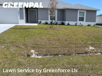 Residential Landscaping In Port St. Lucie,34953,Landscaping Cleanup by Greenforce Llc , work completed in Jan , 2026