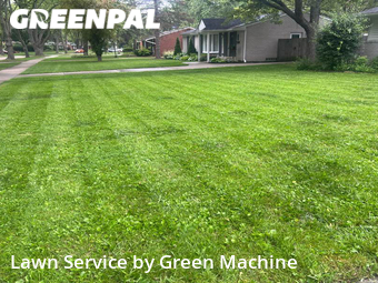 Grass Cut nearby Southfield, MI, 
