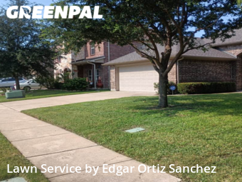 Lawn Mowing Service nearby Frisco, TX, 
