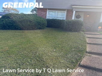 Lawn Service nearby Clinton, MS, 