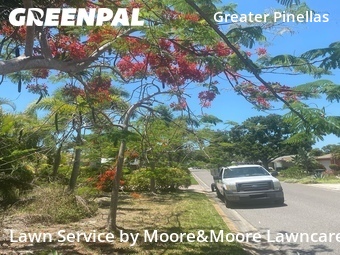 Lawn Cutting nearby St. Petersburg, FL, 
