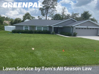 Lawn Care Service nearby Spring Hill, FL, 
