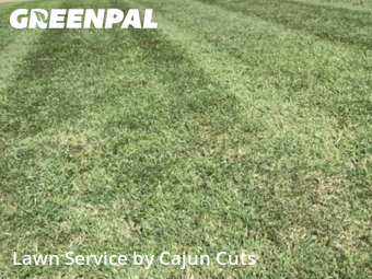 Yard Cutting nearby Murfreesboro, TN, 