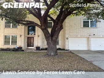 Grass Cut nearby Austin, TX, 