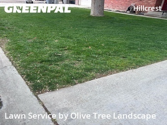 Grass Cutting nearby Boise, ID, 