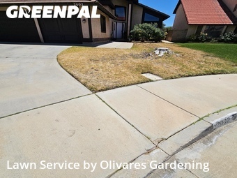 Lawn Maintenance nearby Palmdale, CA, 