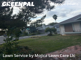 Work completed by grass-trimming-service-in-Citrus Heights-CA