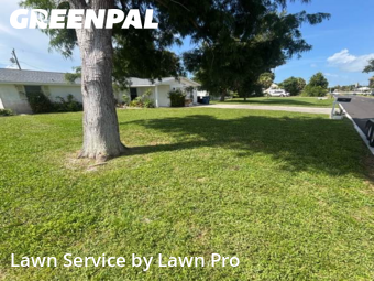 Work completed by cheap-lawn-cutting-businesses-in-Venice-CA