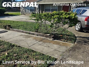 Yard Cutting nearby Tampa, FL, 