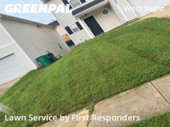 Lawn Cut nearby Charlotte, NC, 