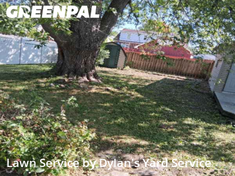 Grass Services in Oak Lawn, 60453, Yard Care Services by Dylan's Yard Service , work completed in Dec , 2025