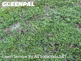 Yard Mowing nearby Poinciana, FL, 