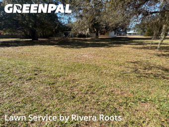 Lawn Servicein Kissimmee,34746,Lawn Maintenance by Rivera Roots, work completed in Jan , 2026
