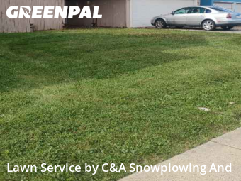 Yard Management in Waukegan, 60085, Backyard Mowing by C&A Snowplowing And , work completed in Nov , 2025