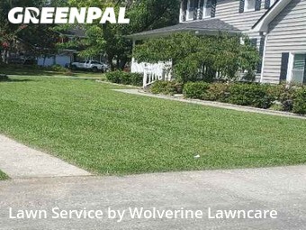 Lawn Cut nearby Summerville, SC, 