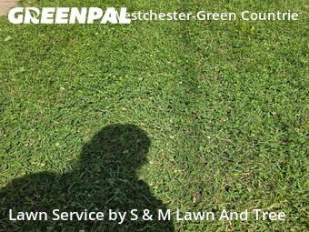Lawn Cut nearby Galloway, OH, 