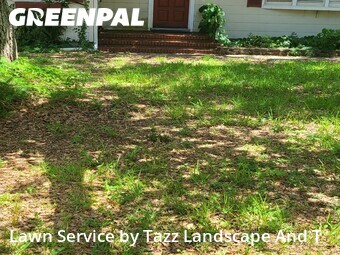 Grass Cutin Clearwater,33756,Grass Cut by Tazz Landscape And T, work completed in Jun , 2026