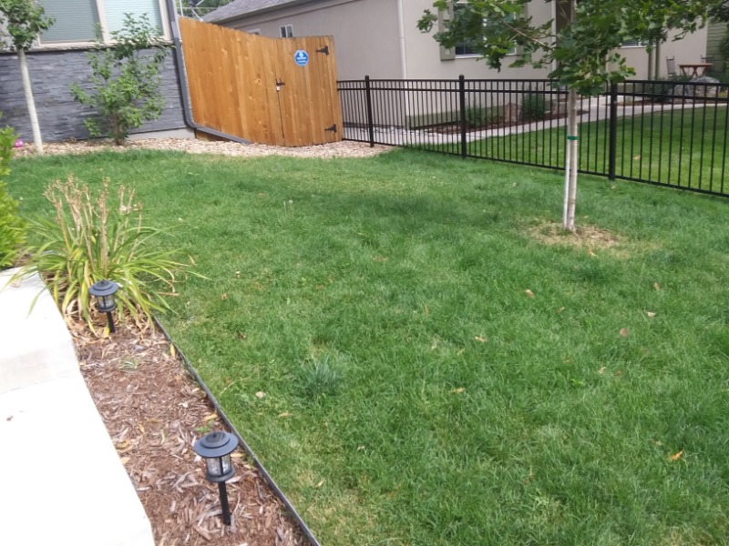lawn-care-services-in-Parker-CO