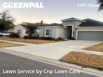 Lawn mowed in Fish Hawk, 33547