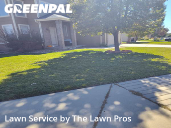 Grass Cutting nearby Thornton, CO, 