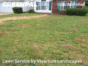 Lawn Cut nearby Charlotte, NC, 